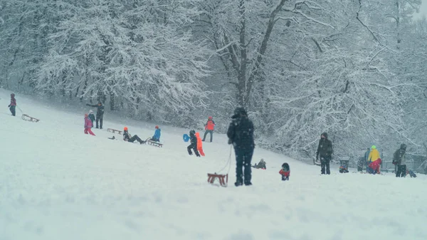 在暴风雪中，许多人在雪地的公园里玩得很开心，这是很别致的景象. — 图库照片