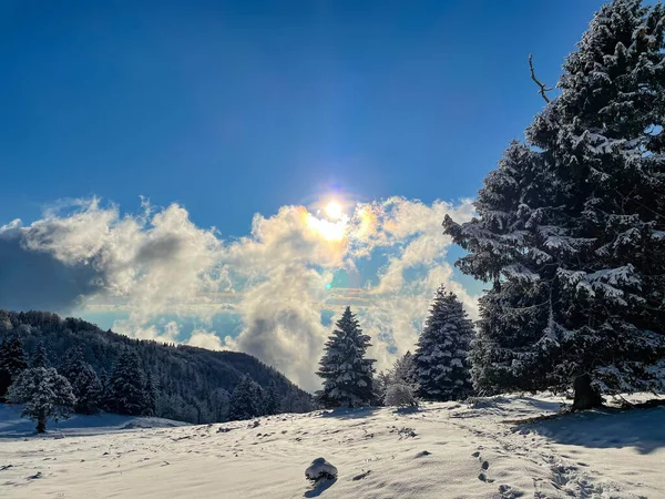 LENS FLARE : Vue spectaculaire sur la nature enneigée par une journée ensoleillée parfaite. — Photo