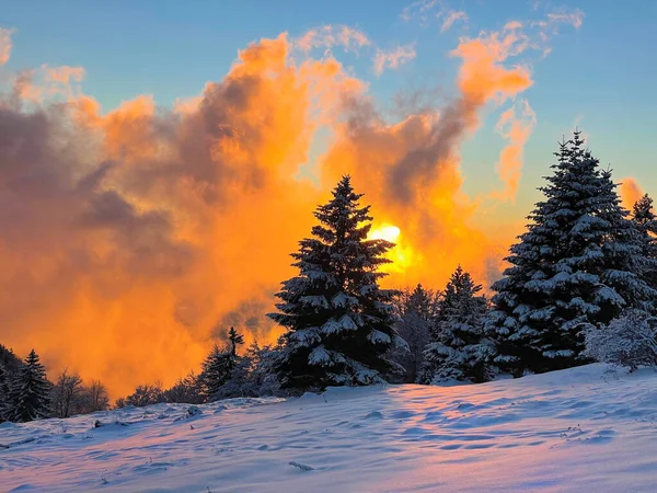 Karlı arazinin üzerinde uzanan altın sabah gökyüzünün nefes kesici manzarası. — Stok fotoğraf