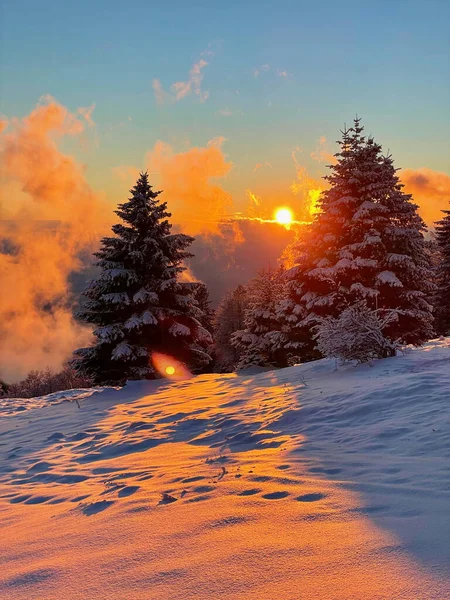 Altın akşam güneşleri güzel kış manzarasında parıldıyor.. — Stok fotoğraf