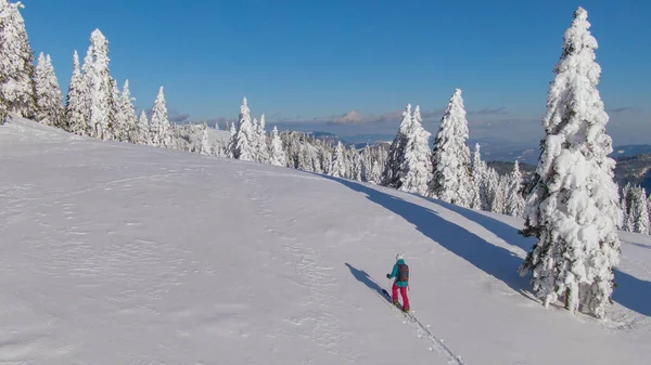 COPY SPACE: Катание на лыжах среди женщин по Словении поднимается на пустой снежный холм. — стоковое фото