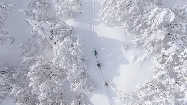 TOP DOWN: Ski-tourers wandelen over een leeg pad dat leidt naar een besneeuwde berg. — Stockfoto
