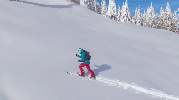 DRONE : Un paysage hivernal pittoresque entoure une femme dans une aventure de ski de randonnée — Photo