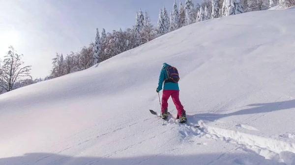 DRONE : Femme blanche en forme traverse le paysage hivernal pendant le voyage de ski de randonnée — Photo