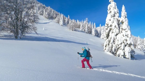 雪地：穿着雪鞋的滑雪者爬上山去粉碎新鲜的粉末. — 图库照片