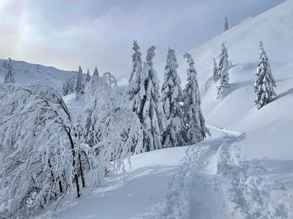 Festői kép a fehér téli táj az idilli szlovén hátországban. — Stock Fotó