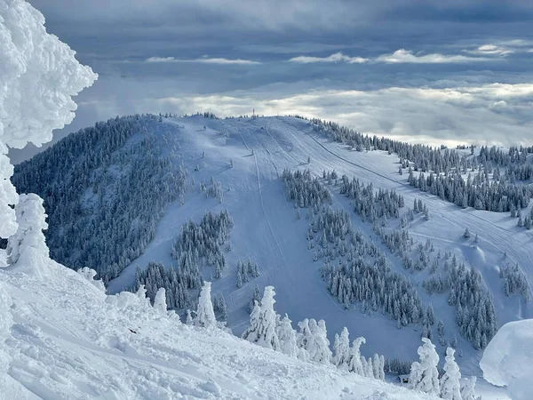 Snowy skigebied pisten blijven leeg tijdens de winter coronavirus uitbraak. — Stockfoto