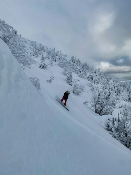 VERTICAL: Mujer joven desmenuza polvo fresco mientras hace snowboard en el backcountry. —  Fotos de Stock