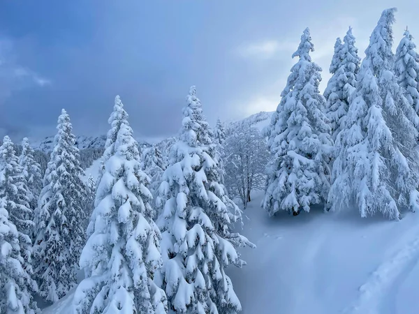 Fresh powder snow covers the remote mountains in the tranquil countryside. — ストック写真