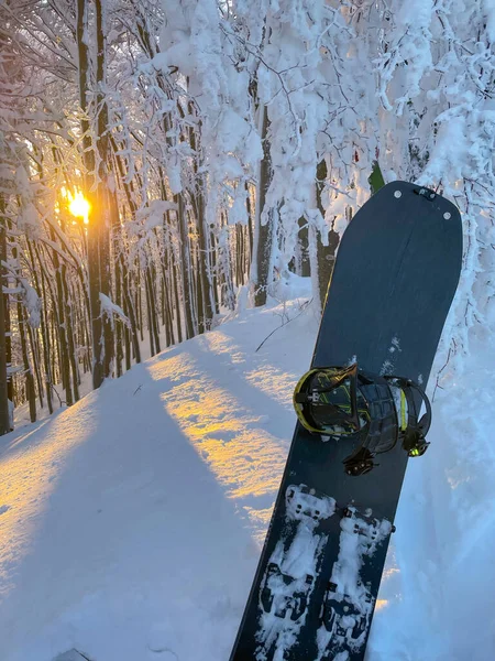 VERTICAL: Το ηλιοβασίλεμα φωτίζει το δάσος και μια snowboard κολλημένη στο φρέσκο χιόνι. — Φωτογραφία Αρχείου