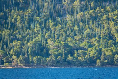 Çok az turist Korcula 'nın kayalık sahillerinde tatilin tadını çıkarır.