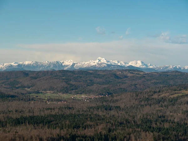 AERIAL: Vliegen over de uitgestrekte bossen en naar de besneeuwde Alpen in de verte. — Stockfoto
