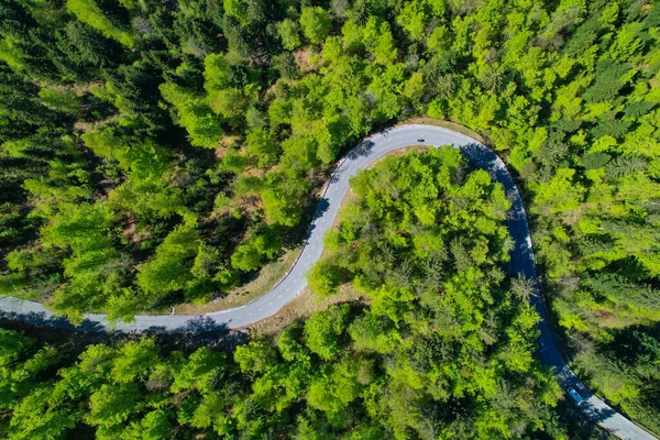 AERIAL: Flug über einer Serpentinenstraße, die durch einen idyllischen grünen Wald führt. — Stockfoto