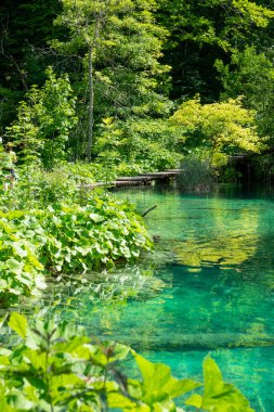 Plitvice Ulusal Parkı Coronavirus nedeniyle kapalı.