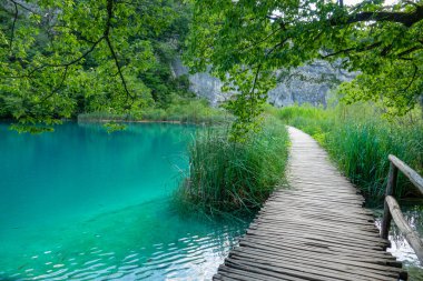 Manzaralı Plitvice Milli Parkı 'ndaki zümrüt gölün yanından geçiyor..