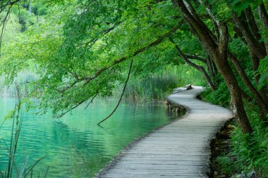 Plitvice 'deki muhteşem zümrüt gölünün kıyısı boyunca uzanan boş yürüyüş yolu..