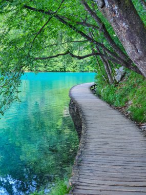 Plitvice Parkı 'ndaki zümrüt göl kıyısı boyunca uzanan boş yürüyüş yolu..