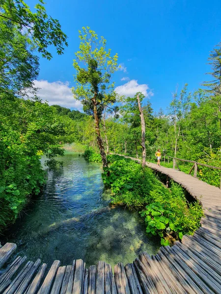 VERTICAL: Vrouwelijke fotograaf verkent het schilderachtige Nationaal Park Plitvice Meren. — Stockfoto