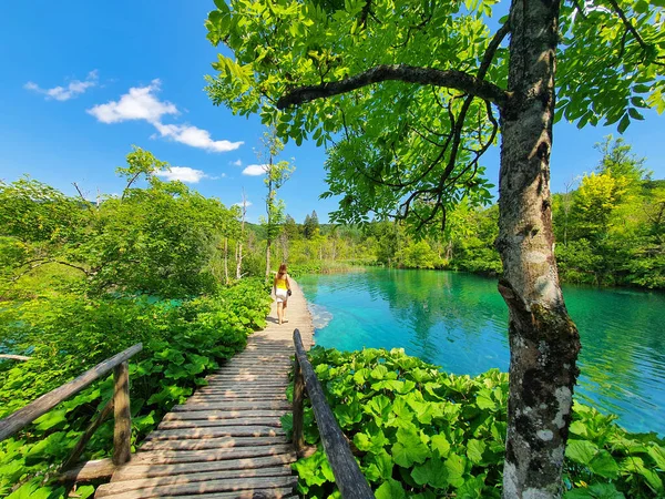 Felismerhetetlen nő sétál a sétányon a festői Plitvice Nemzeti Parkban. — Stock Fotó