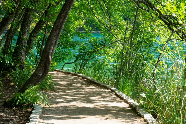 Weelderige groene bomen werpen schaduw op een grindpad dat leidt rond Plitvice park. — Stockfoto