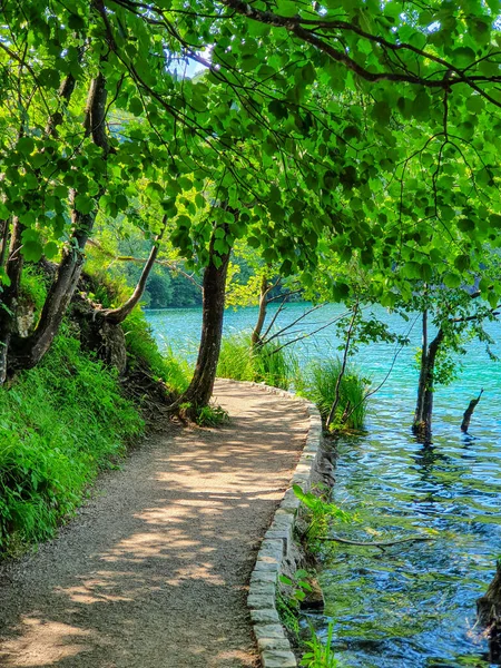 VERTICAL: Passarela vazia cênica corre ao longo de um belo lago de esmeralda na Croácia. — Fotografia de Stock