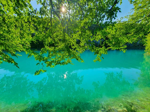 LENS FLARE: Sommersonnen scheinen durch das Blätterdach, das sich über den smaragdgrünen See erstreckt. — Stockfoto