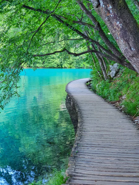 VERTICAL: Lege wandelweg loopt langs de oever van het smaragdgroene meer in Plitvice park. — Stockfoto