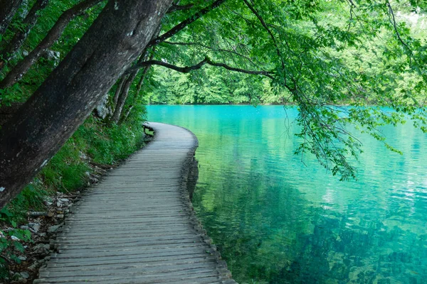 Langs de oever van het smaragdgroene meer in Plitvice park loopt een mooie lege wandelweg. — Stockfoto