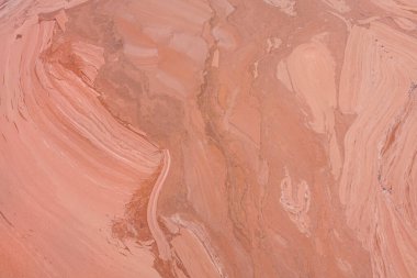 Kirlenmiş bir gölün yüzeyinde kırmızı renkli siyanobakteriler yüzer..