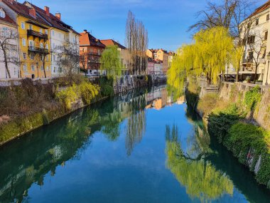 Ljubljana 'nın manzaralı eski kasabasında akan sakin bir nehrin manzarası..