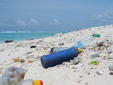 Boş plastik şişeler tropikal beyaz kumsala taşar..