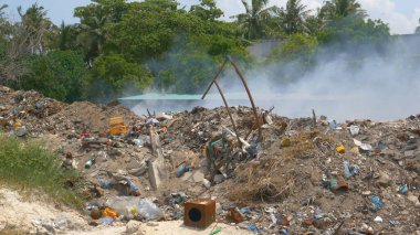 Pervasız yerliler palmiyelerle çevrili büyük bir hurdalıkta plastik atık yakıyorlar.