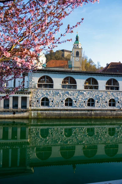 VERTICAL: Όμορφη θέα του ποταμού Ljubljanica που περνά από τη γραφική παλιά πόλη. — Φωτογραφία Αρχείου