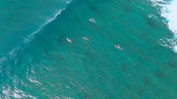 TOP DOWN: Ondas que vêm das águas abertas correm surfistas passado remando para fora. — Fotografia de Stock