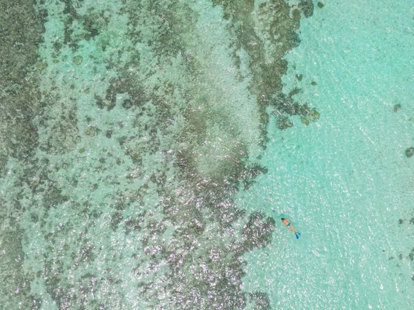 TOP DOWN: Volare sopra una ragazza facendo snorkeling ed esplorando la barriera corallina in ripresa — Foto Stock