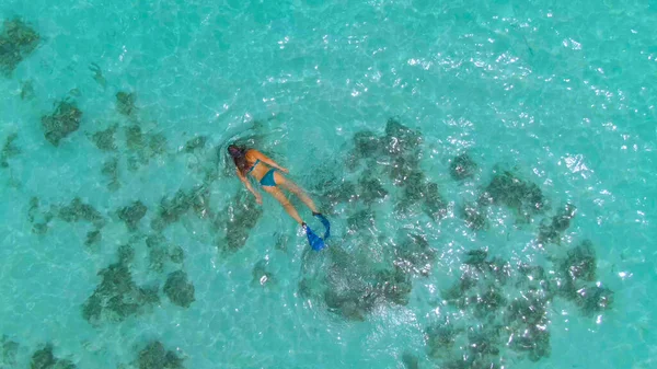 トップダウン:浅瀬の周りの女性のシュノーケリングやサンゴの姿を探るサンゴ礁. — ストック写真