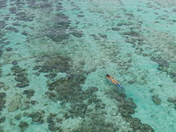 DRONE: Volare sopra una ragazza facendo snorkeling ed esplorando la barriera corallina in recupero — Foto Stock