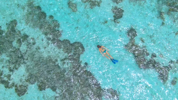 TOP DOWN: Volare sopra una ragazza turistica facendo snorkeling intorno alla barriera corallina in decomposizione. — Foto Stock