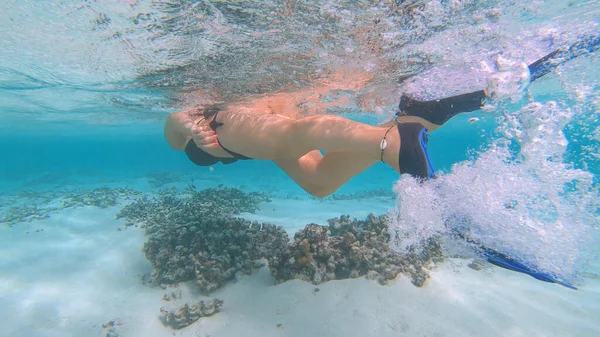 Kvinnodykning i havet utforskar havsbotten som förstörts av den globala uppvärmningen. — Stockfoto