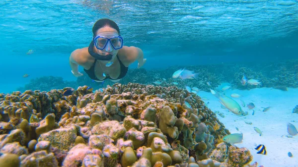 AGUA SUPERIOR: Mujer joven haciendo snorkel en Maldivas nada más allá de un coral en recuperación —  Fotos de Stock