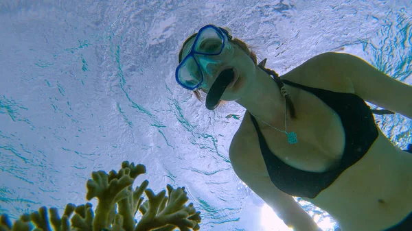 Ung vit kvinna i svart bikini snorklar förbi en blekt korall — Stockfoto