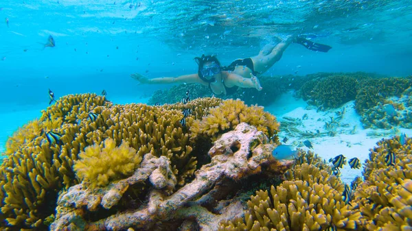Una giovane donna che esplora l'oceano si avvicina lentamente ad un corallo vivo — Foto Stock