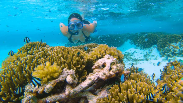 UNDERWATER: Una tuffatrice curiosa si avvicina ad una barriera corallina in ripresa alle Maldive — Foto Stock