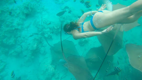 Mladá samice potápěče plave mezi hejnem rejnoků a exotických ryb. — Stock fotografie