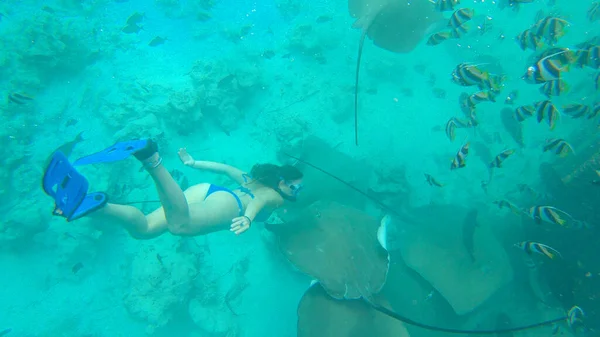 Женщина, отдыхающая на Мальдивах, наслаждается захватывающей морской жизнью — стоковое фото