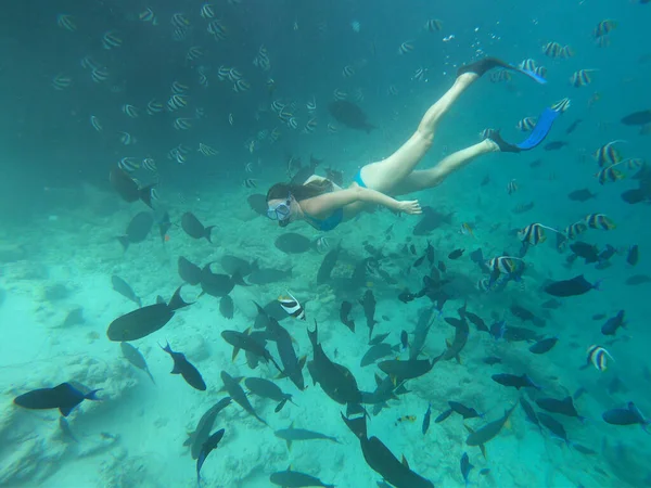 UNDERWATER: La donna fa snorkeling e nutre pesci tropicali amichevoli nuotando intorno. — Foto Stock