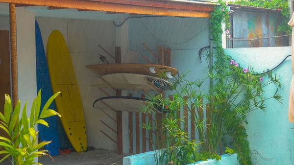 CLOSE UP: Разноцветные доски для серфинга помещаются во внутреннем дворике во время ливня. — стоковое фото