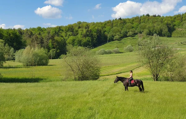 COPY SPACE: Scenic shot of a young woman rider sitting on her horse's back. — 图库照片