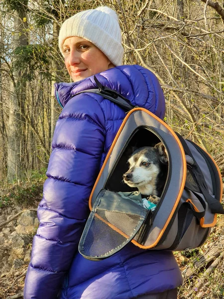 CLOSE UP: Fröhliche Wanderin lächelt, während sie ihren müden Welpen im Rucksack trägt — Stockfoto