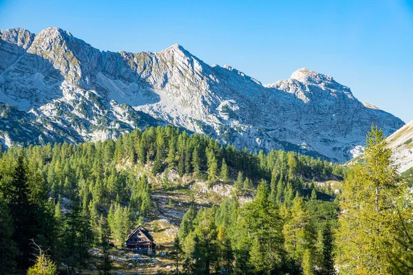 Каюта одинокого туриста прячется в пышном хвойном лесу, покрывающем Джулианские Альпы. — стоковое фото